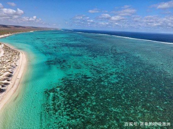 代表团长专访|打造产业集聚发展新高地 访鸡西代表团副团长孙成坤