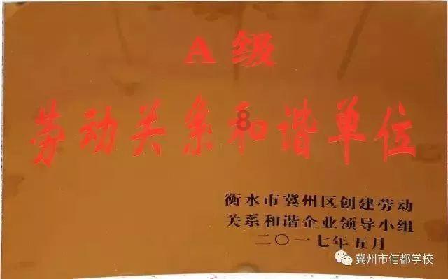 救援小橘猫