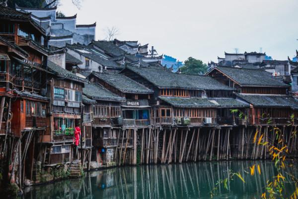 救援大嘴鸟